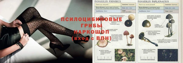 ПСИЛОЦИБИНОВЫЕ ГРИБЫ Снежногорск