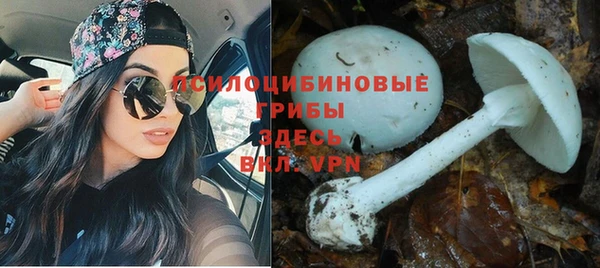крисы Балахна